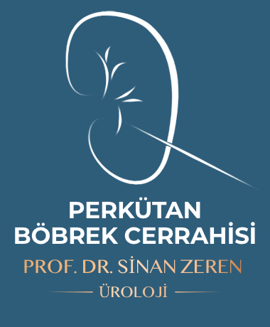 Perkütan Cerrahi - Prof. Dr. Sinan Zeren
